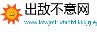 出敌不意网